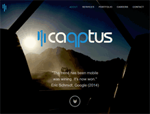 Tablet Screenshot of capptus.com